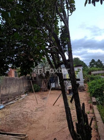 land_lot em Estrada Kanazawa, Vila Nova - Porto Alegre - RS