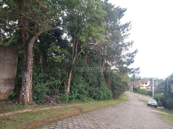 land_lot em Rua Vai Vai, Jardim San Ressore (Caucaia do Alto) - Cotia - SP