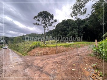 land_lot em Estrada do Imigrante, Nossa Senhora das Graças - Caxias do Sul - RS