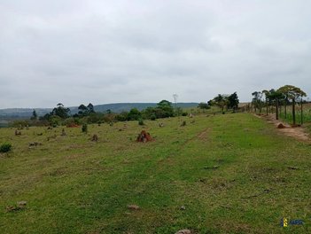 agricultural em Área Rural, Área Rural de Araçoiaba da Serra - Araçoiaba da Serra - SP