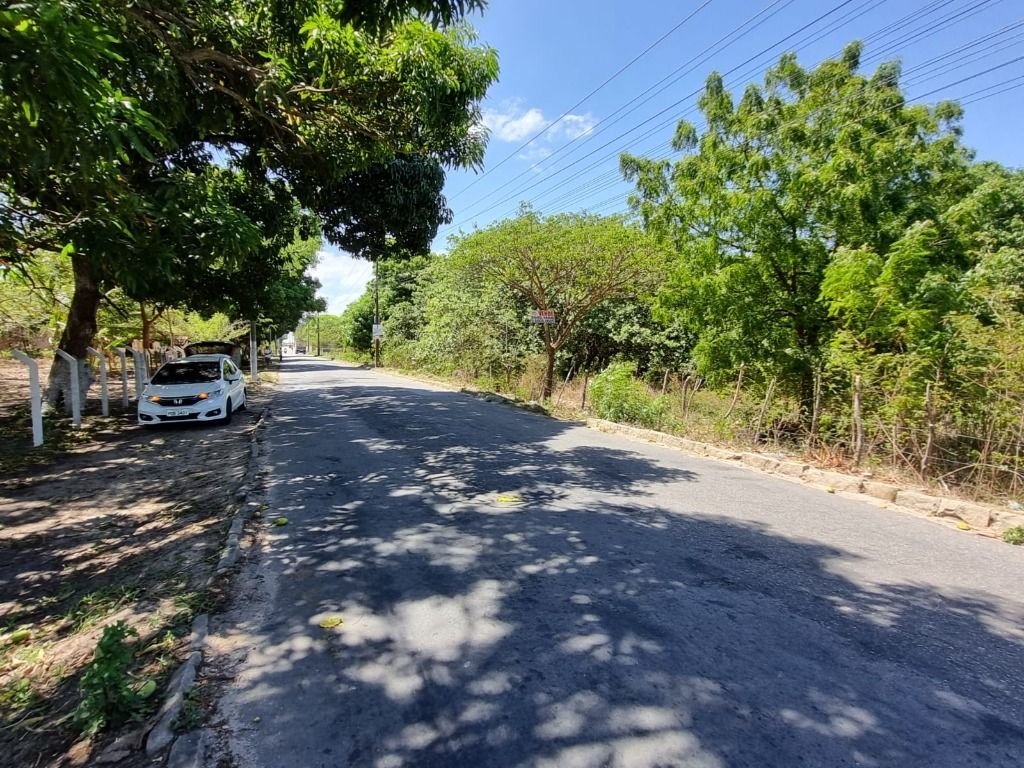 | Foto_migracao | 4
