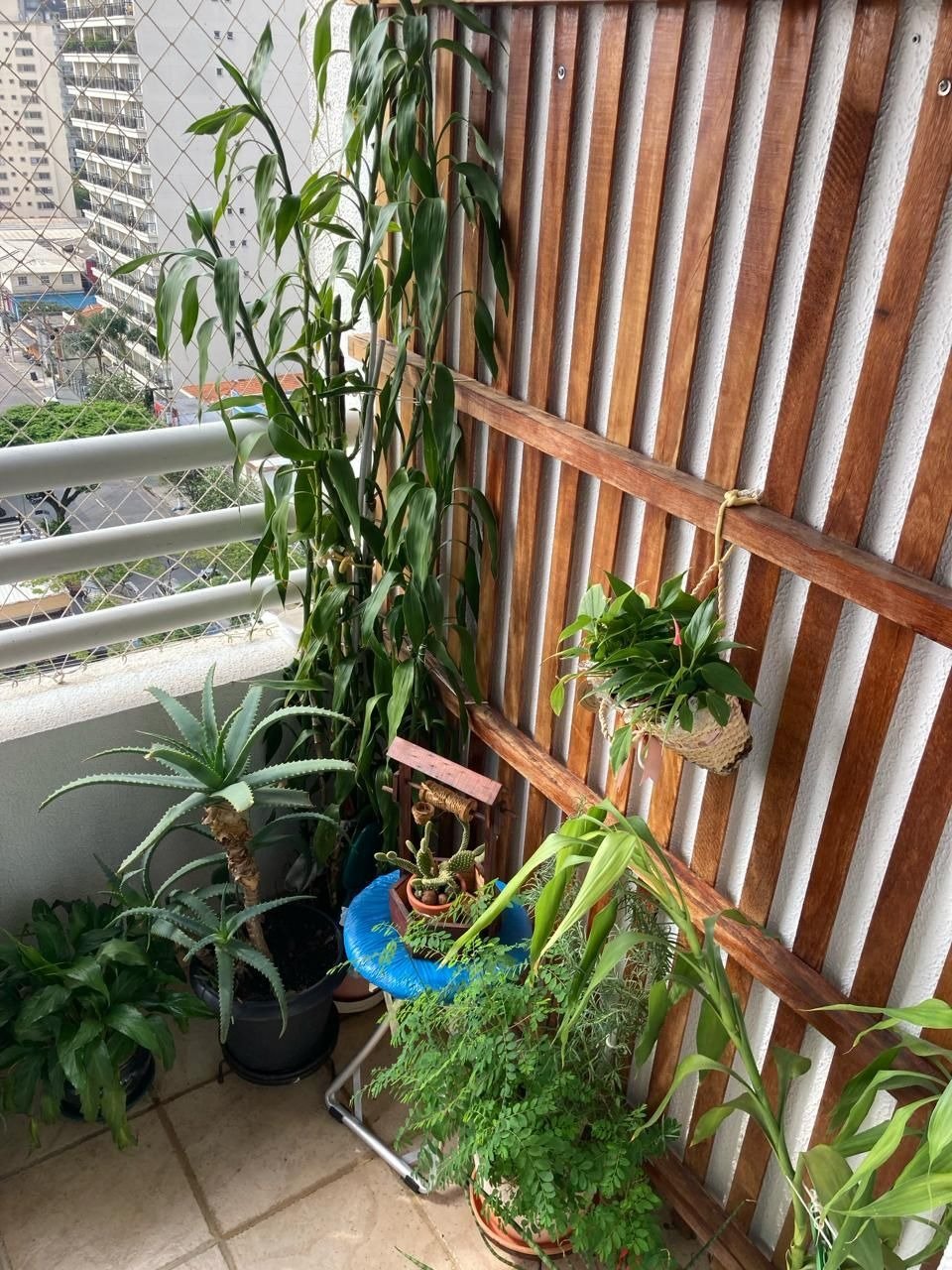 WhatsApp Image 2024-03-07 at 11.53