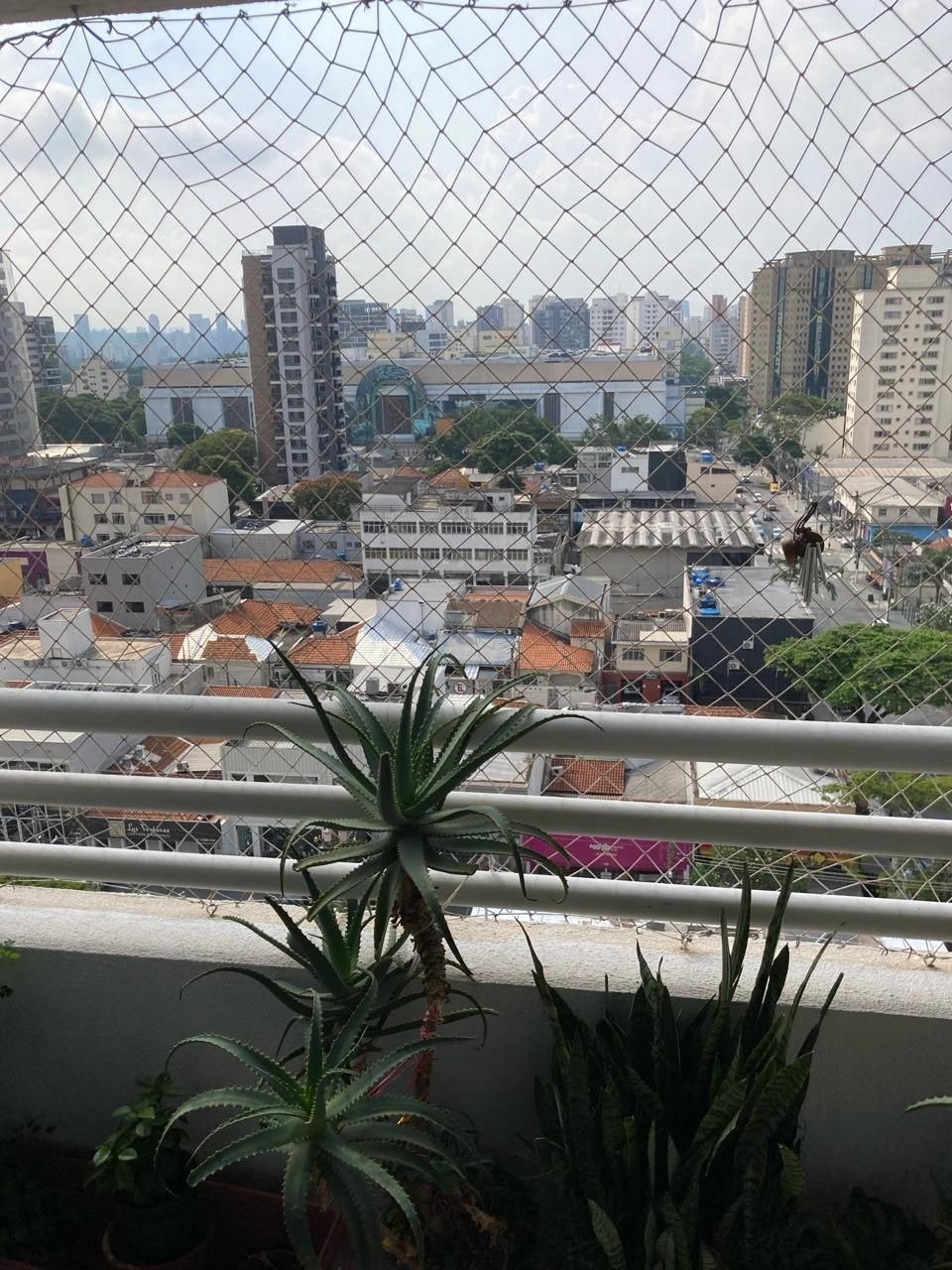 WhatsApp Image 2024-03-07 at 11.53