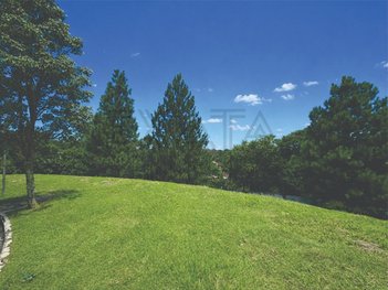land_lot em Alameda das Congonhas, Granja Viana - Carapicuíba - SP