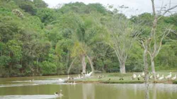 Cômodo Condomínio