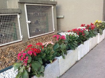 apartment em Avenida João Paulo II, São Pedro - Osasco - SP