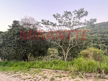land_lot em Alameda dos Jerivás, São Vicente - Mairiporã - SP
