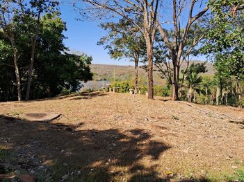 agricultural em Área Rural, Área Rural de Uberlândia - Uberlândia - MG