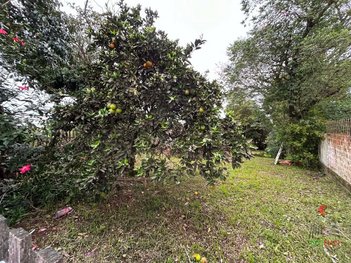 land_lot em Avenida Jorge Amado, São Vicente - Gravataí - RS