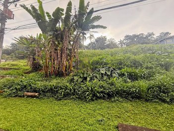 land_lot em Rua dos Álamos, Jardim Barbacena - Cotia - SP