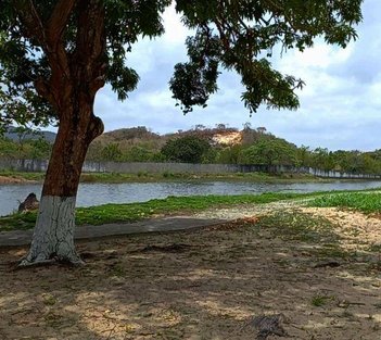land_lot em Avenida Doutora Célia Magalhães, Lagoa do Banana - Caucaia - CE