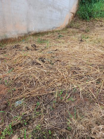 land_lot em Rua Pequi, Jardim Laguna - Contagem - MG