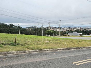 land_lot em Rodovia Raposo Tavares, Sítio Boa Vista - Cotia - SP