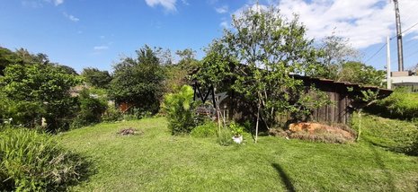 land_lot em Doutor Antonio Luiz Moura Gonzaga, Rio Tavares - Florianópolis - SC