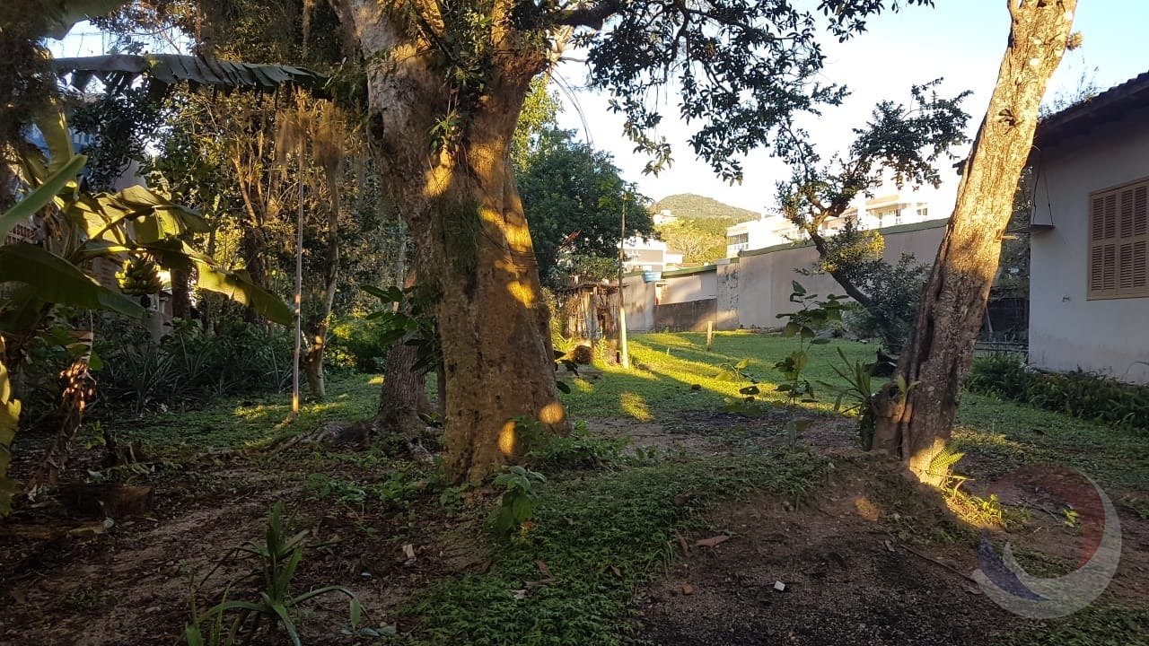 Fotos terreno 1