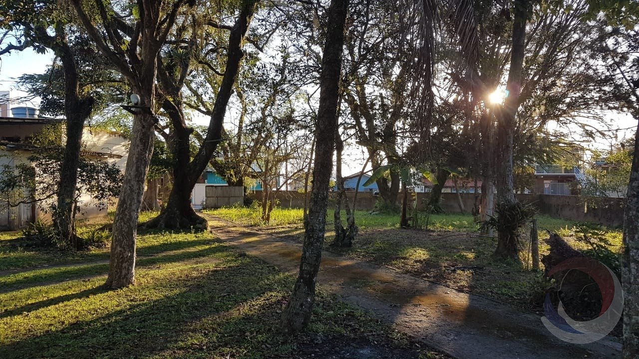 Fotos terreno 2