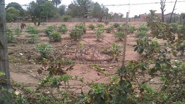 land_lot em Rua São Cristovão, Vila Santa Fé - Pirassununga - SP