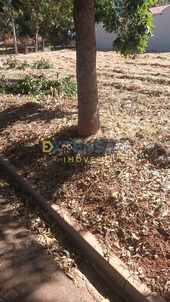 land_lot em Rua Cândido Portinari, Jardim Nova Yorque - Araçatuba - SP