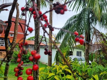 land_lot em Servidão Coruja do Campo, Campeche - Florianópolis - SC