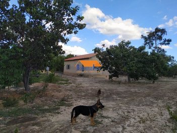 agricultural em Rua Rio Grande do Norte, Três Marias - Três Marias - MG