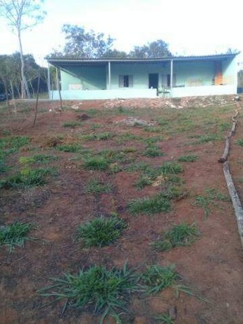 agricultural em Avenida Cesário Alvim, Centro - Uberlândia - MG