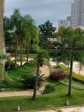 apartment em Rua da Independência, Cambuci - São Paulo - SP