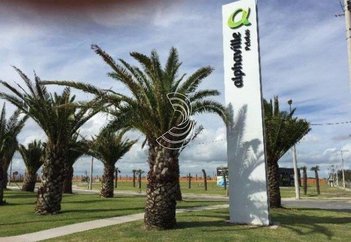 house em Avenida Adolfo Fetter, Laranjal - Pelotas - RS