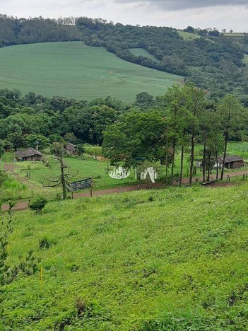 agricultural em Avenida Duque de Caxias, Igapó - Londrina - PR