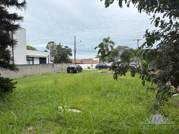 land_lot em Estrada Haroldo Soares Glavan, Cacupé - Florianópolis - SC