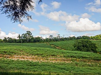agricultural em Rua Nova Odessa, Iara - Atibaia - SP