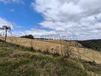land_lot em Rodovia Prefeito Quintino de Lima, Ibiúna - Ibiúna - SP