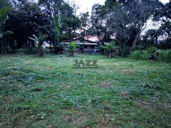 land_lot em Avenida João Rodolfo Castelli, Putim - São José dos Campos - SP