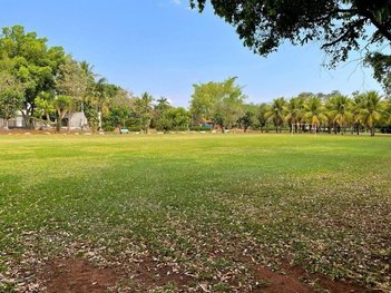 land_lot em Praça Rui Barbosa, Centro - Araçatuba - SP