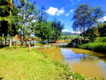 agricultural em Rua Antônio Antão Braga, São Domingos do Prata - São Domingos do Prata - MG