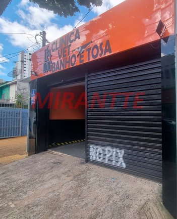 business em Rua Dom Henrique Mourão, Santana - São Paulo - SP