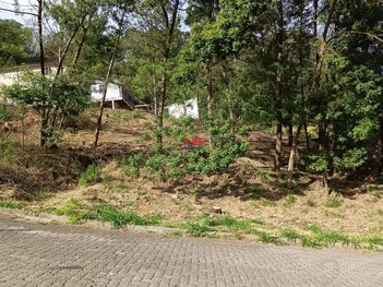 land_lot em Rua José Carlos de Oliveira, De Zorzi - Caxias do Sul - RS