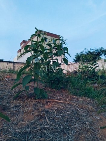 land_lot em Alameda dos Canários, Cabral - Contagem - MG