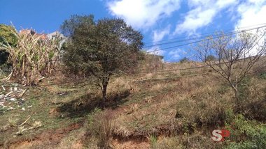 land_lot em Rua Paulo Canarinho, Recreio São Jorge - Guarulhos - SP
