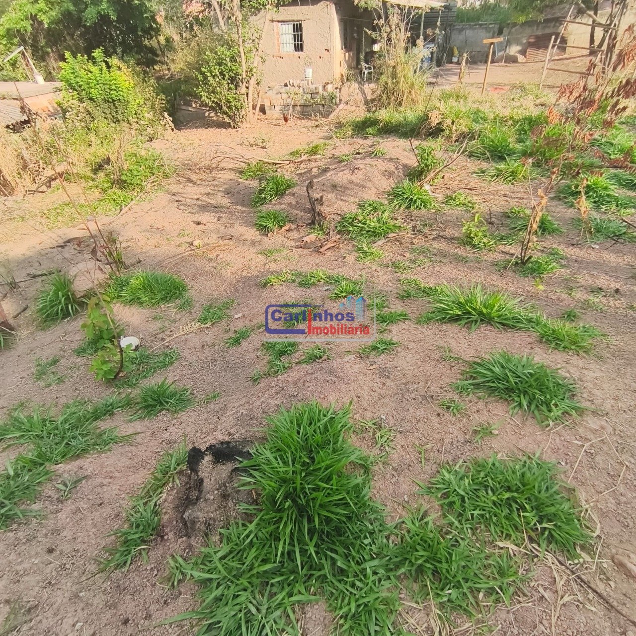 WhatsApp Image 2025-10-09 at 12.30