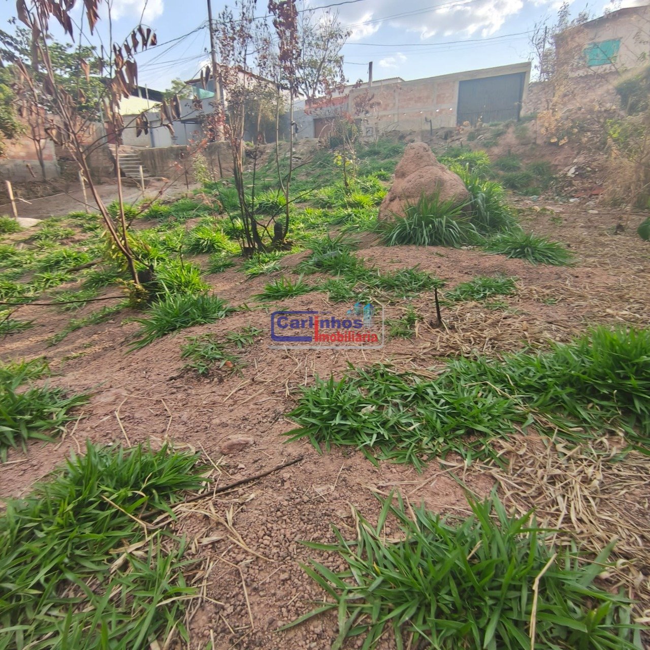 WhatsApp Image 2025-10-09 at 12.30