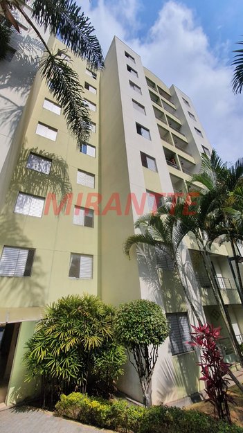Apartamento em Rua José Ferreira de Castro, Vila Amélia - São Paulo - undefined