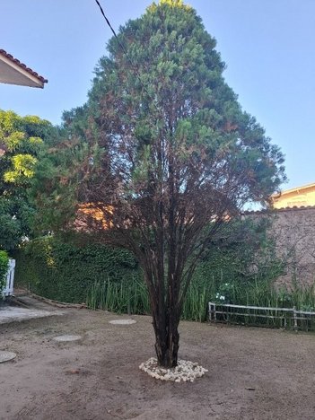 house em Rua Campo Grande, Candeias - Jaboatão dos Guararapes - PE