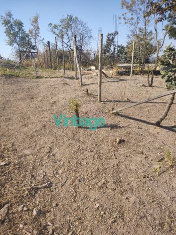 land_lot em Rua Muriaé, Residencial Caio Martins - Esmeraldas - MG