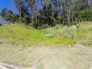 land_lot em Rua Doutor Ladislau Reti, Parque Alexandre - Cotia - SP