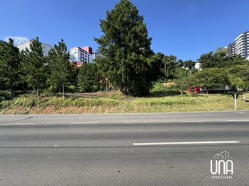 land_lot em Rodovia BR-470, Conceição - Bento Gonçalves - RS