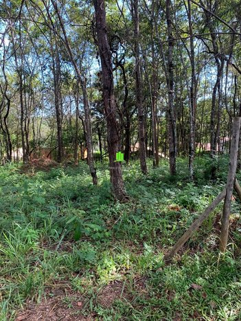 land_lot em Alameda dos Canários, Canto do Riacho - Lagoa Santa - MG