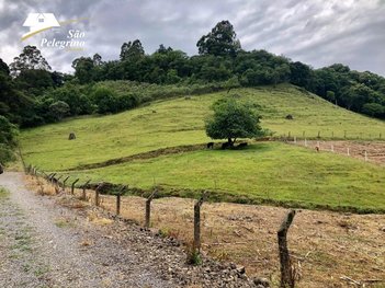 land_lot em Travessão Solferino, Bela Vista - Caxias do Sul - RS