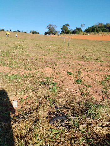 land_lot em Avenida Virgilio Cardoso Pinna, Piracangaguá - Taubaté - SP