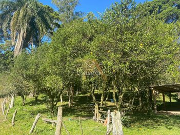 agricultural em Estrada Geral, Imaruí - Imaruí - SC