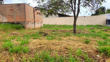 house em Rua Renê Tacola, Vila Aviação - Bauru - SP
